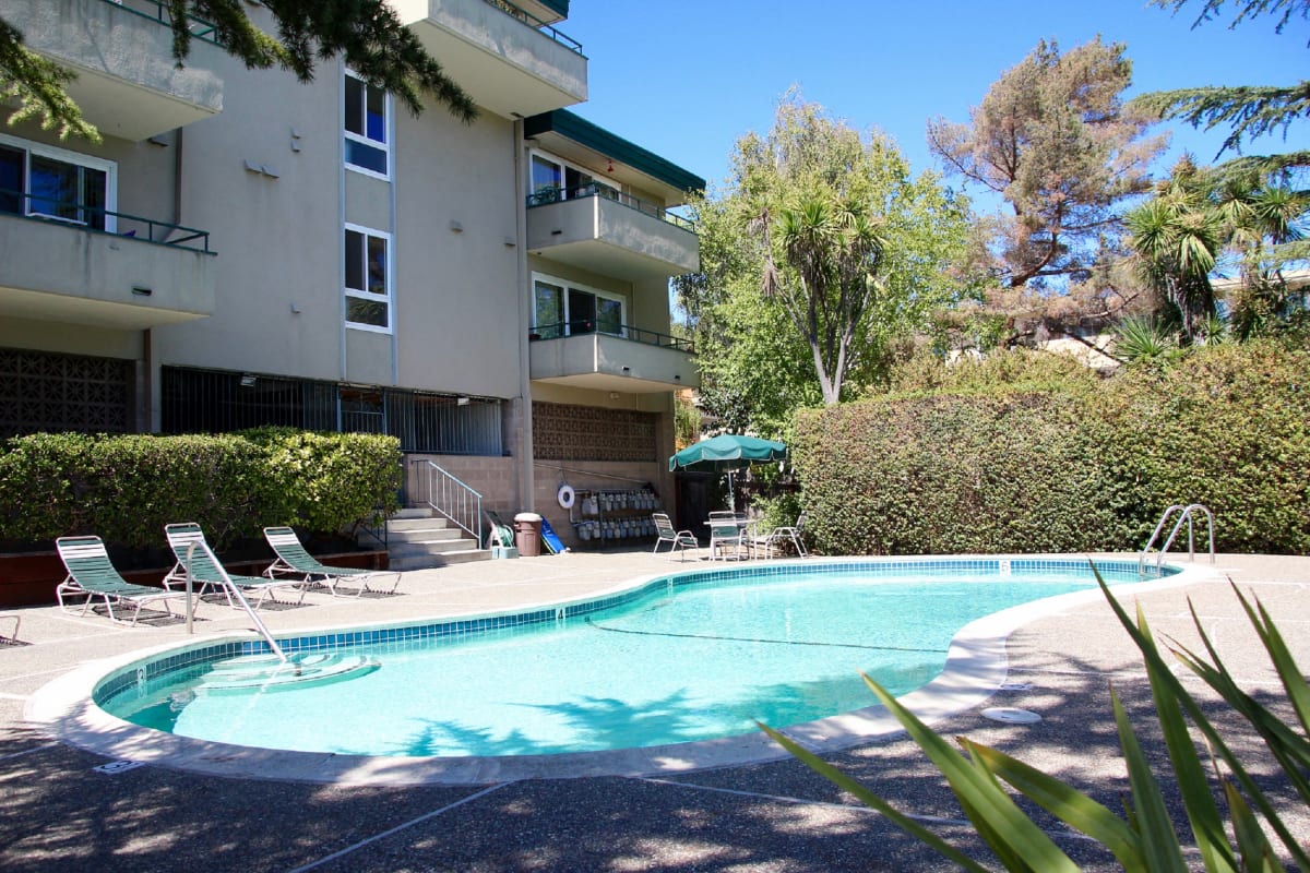 The Pines San Mateo photo 4